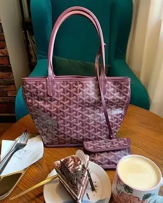 Customer photo review of Goyard Anjou Mini - Matching Wallet & Insert Included