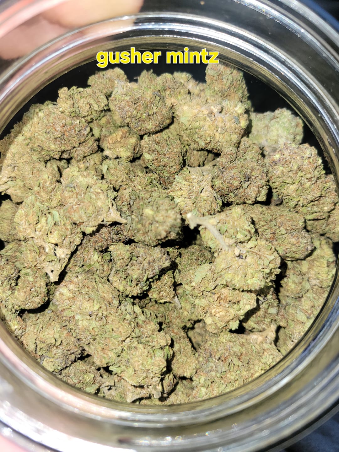 Customer photo review of Gush Mintz - Bulk - Indica
