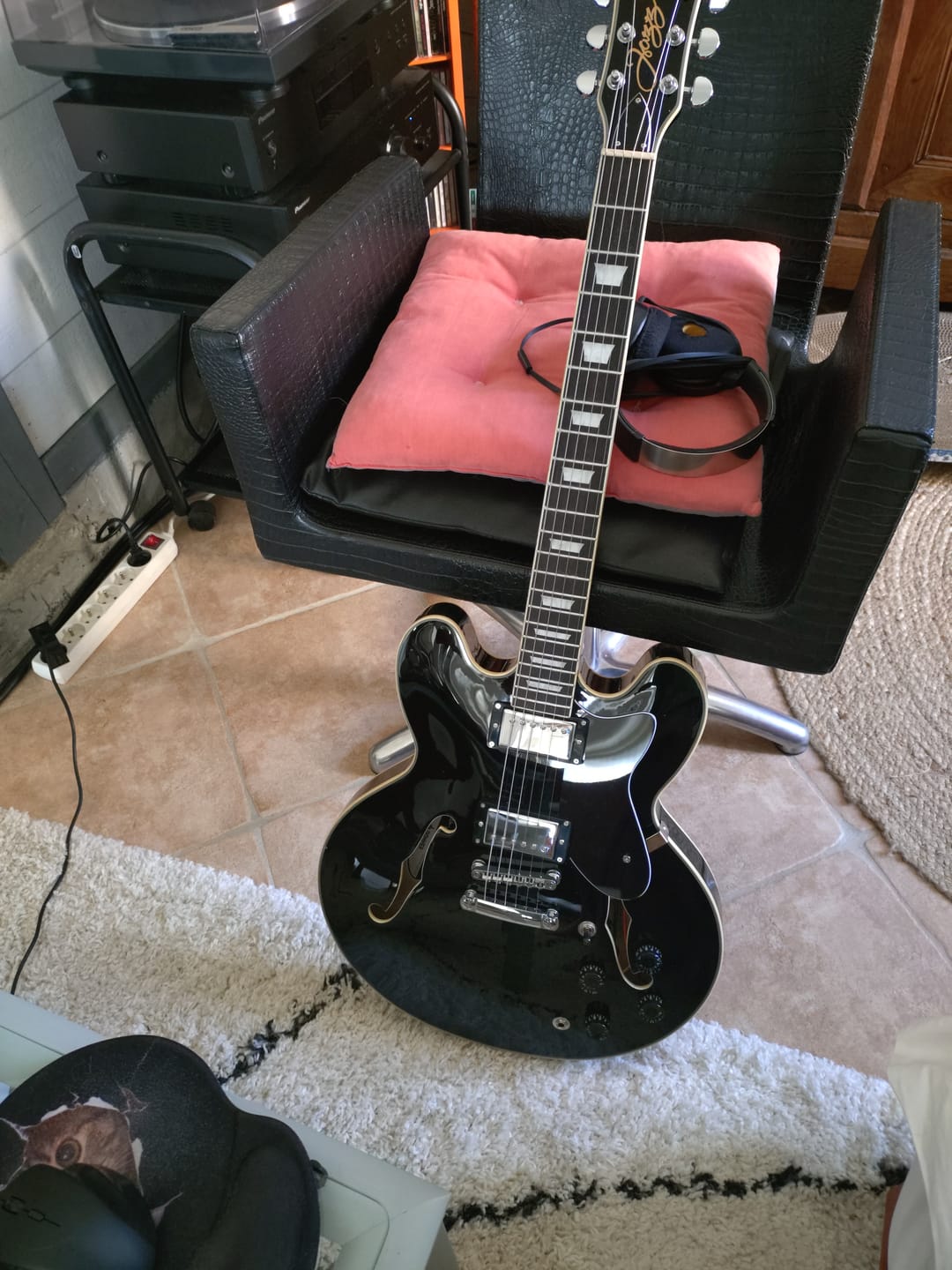Customer photo review of Donner DJP-1000 Guitare Jazz Demi-Caisse