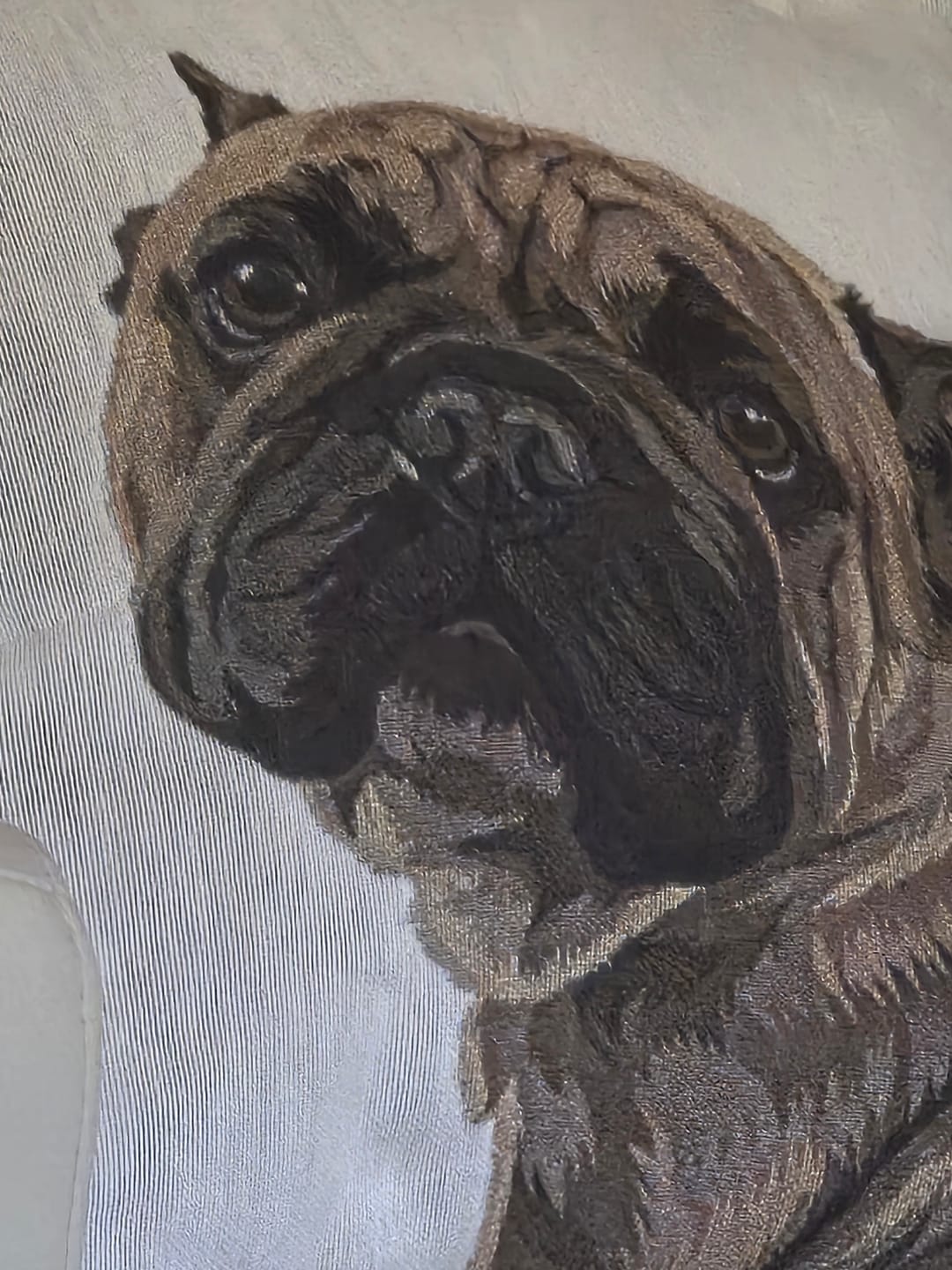 Customer photo review of Custom Heirloom Pet Throw Blanket