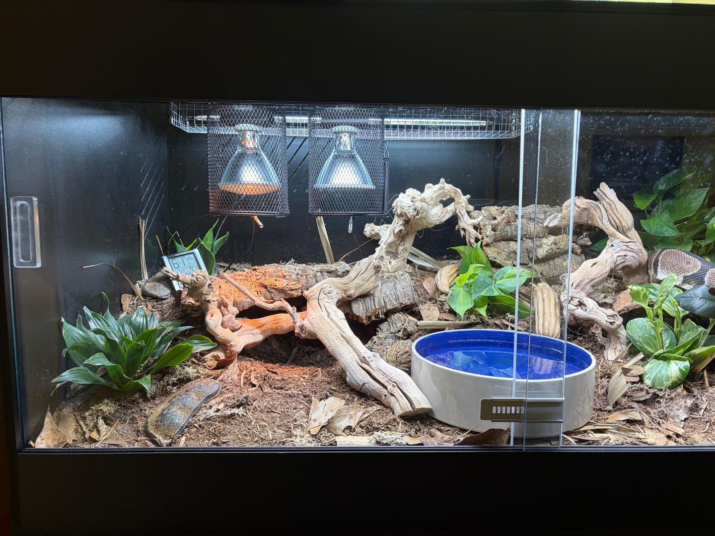 Customer photo review of 48"x24"x24" / 4'x2'x2' Premium PVC Reptile Enclosure