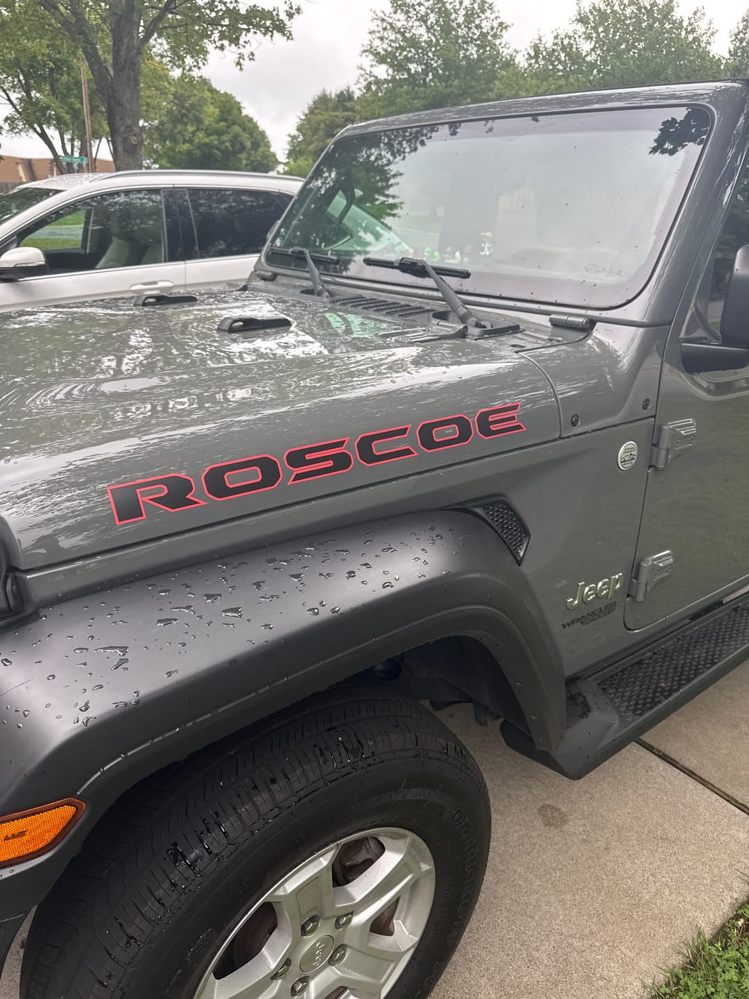 Customer photo review of Hood Lettering | Set of 2