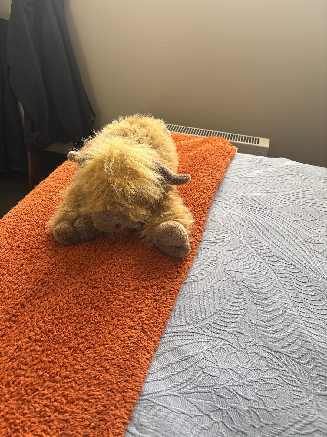 Customer photo review of Highland Cow Weighted Stuffed Animal