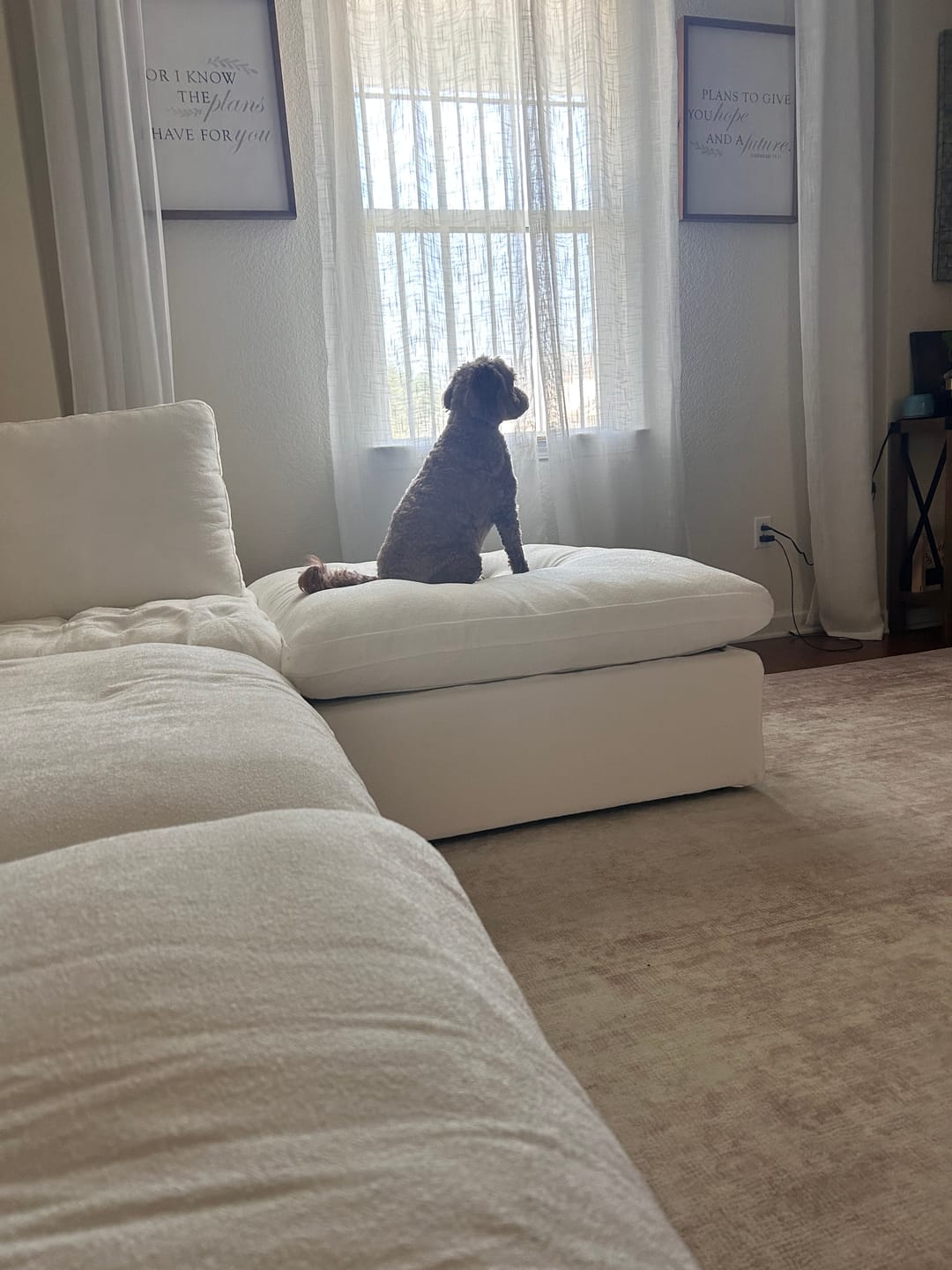 Customer photo review of Classic Modular 4-Seater Sectional in White