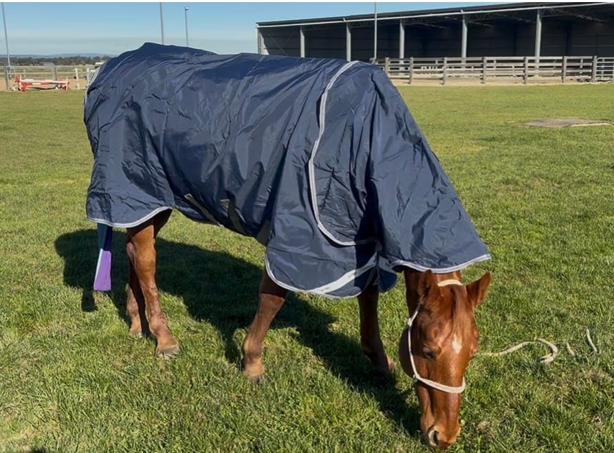 Customer photo review of Rhino Plus Turnout 0g