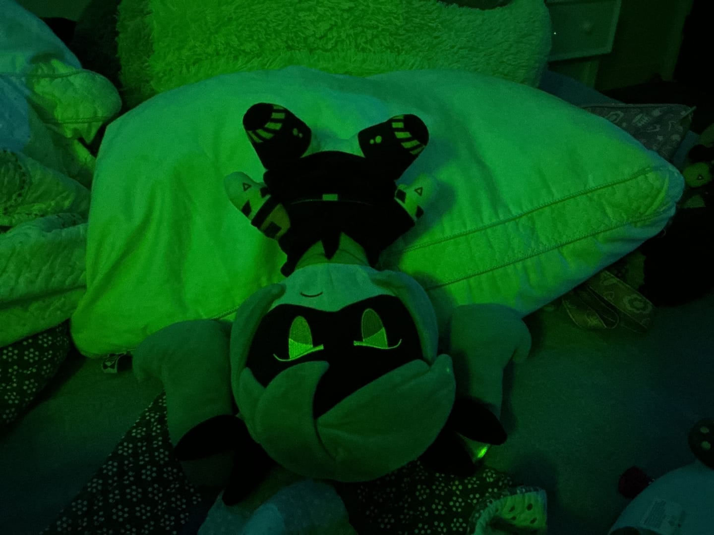 Customer photo review of J Plush