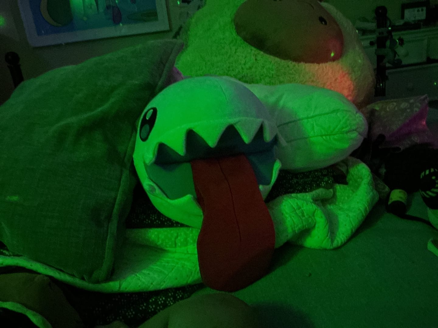 Customer photo review of Bubble Plush