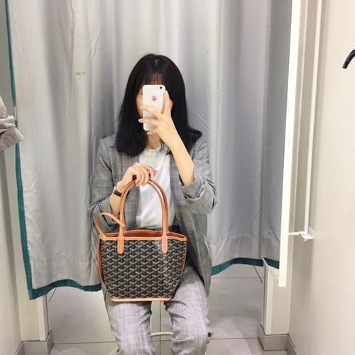 Customer photo review of Goyard Anjou Mini - Matching Wallet & Insert Included