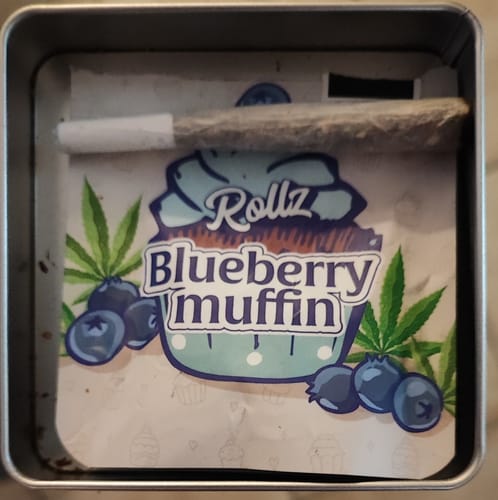 Customer's Rollz Blueberry Muffin THCA pre-roll cigarette inside a square metal tin.