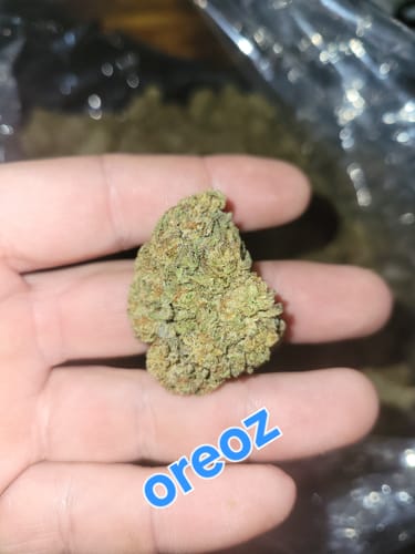 Oreoz - Bulk - Indica photo review