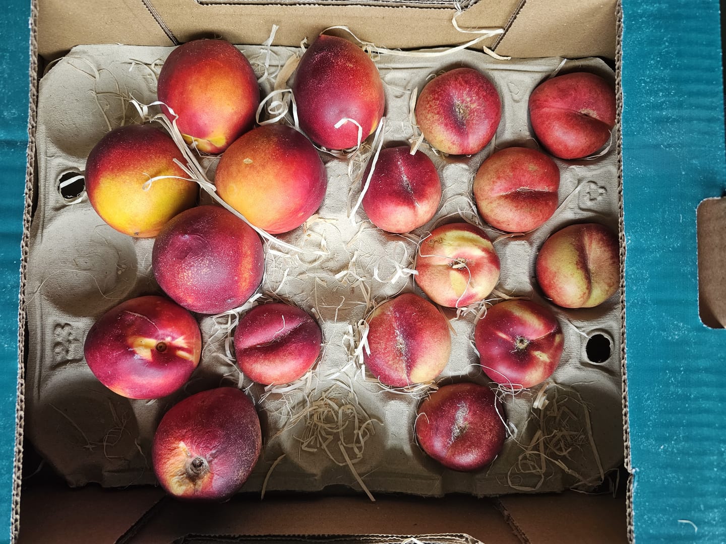 Customer photo review of Pfirsich & Nektarinen Bio von Jordi Retterbox 3kg