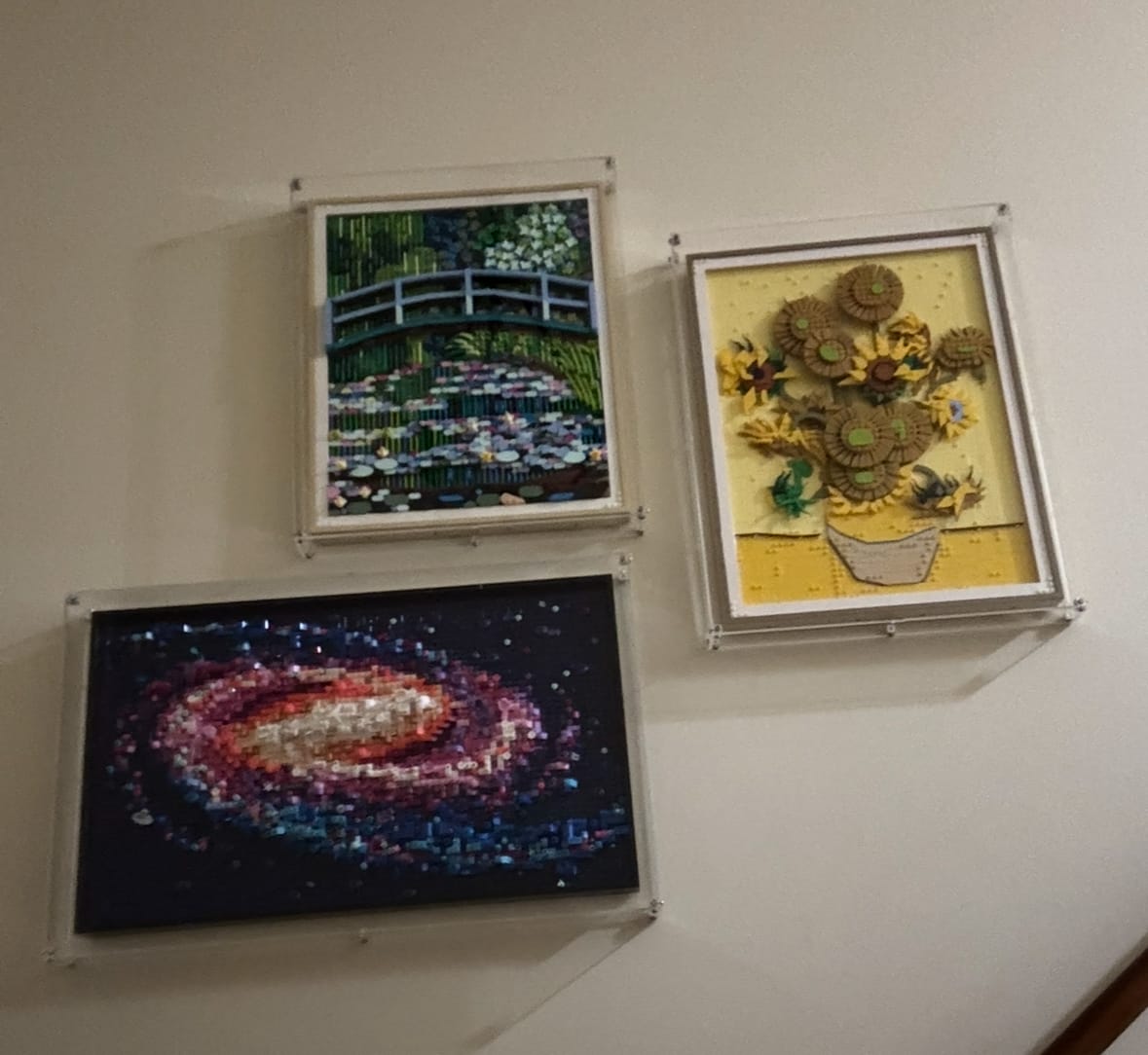 Customer photo review of Display Case for LEGO® 31220 Art Claude Monet – Bridge over a Pond of Water Lilies