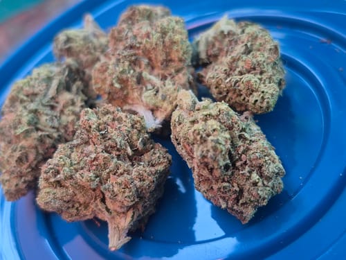 King Louis XIII - 28 Grams - Indica photo review