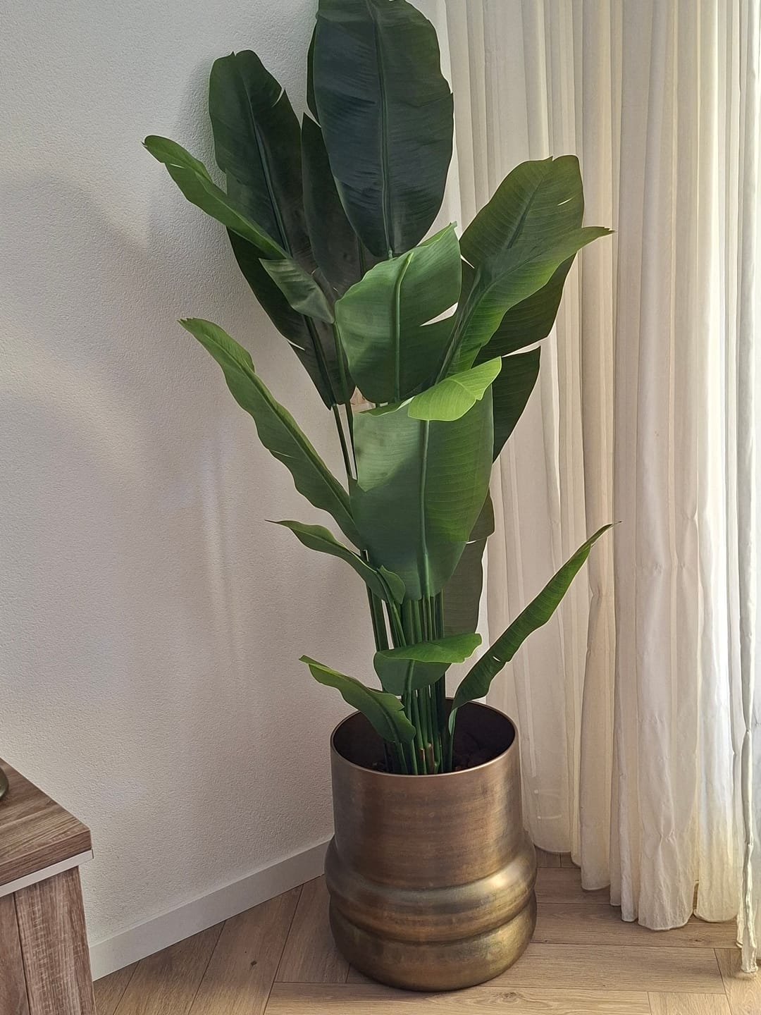 Customer photo review of Bloempot Sempre vintage gold 40x40cm