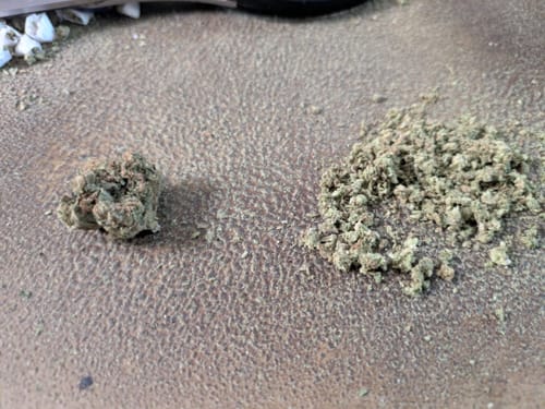 King Louis XIII - 28 Grams - Indica photo review