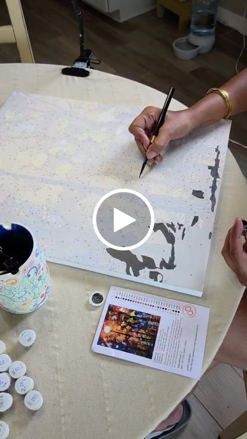 Customer video review of CUSTOM PAINT BY NUMBER KIT