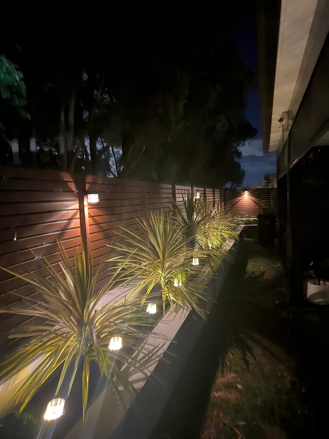 Customer photo review of Solar Ground Lights
