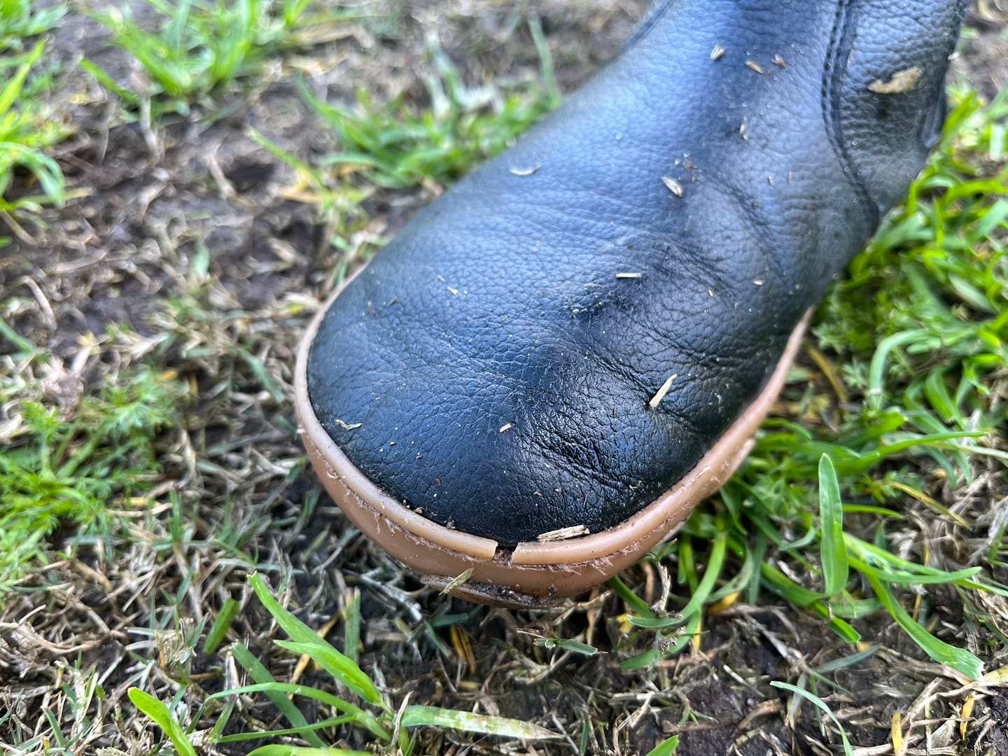 Customer photo review of BLACK GUM | CHELSEA BOOTS - JNR