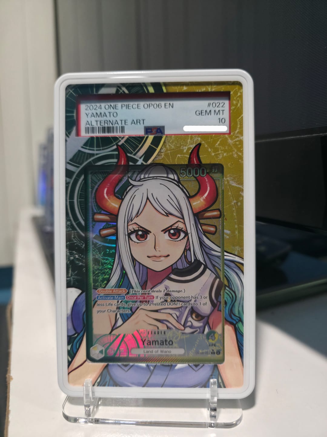 Customer photo review of Custom Your Premium Card Extended Art Display Cases Collection