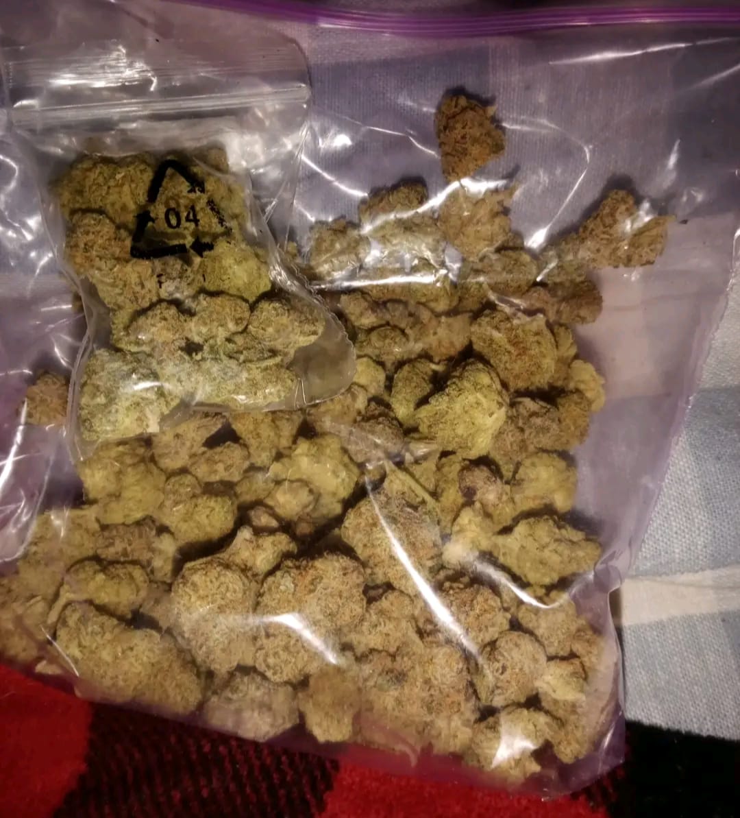 Customer photo review of Indoor Micros