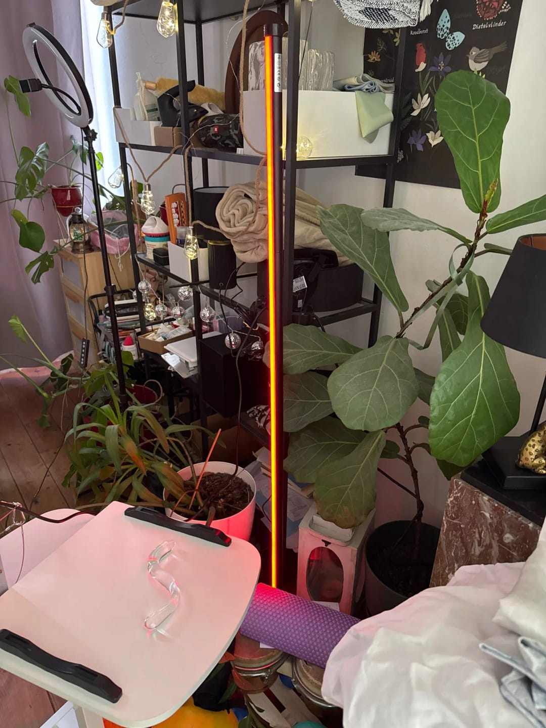Customer photo review of Nordic Inspired Multicolor LED Floor Lamp With Remote Dimmer