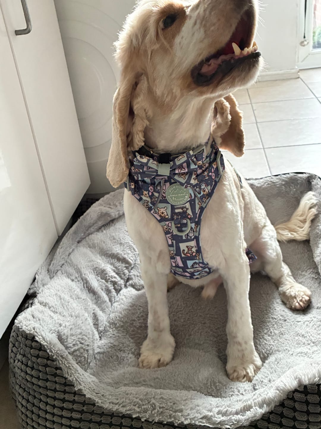 Customer photo review of Disney© Bow Tie - Winnie + Friends