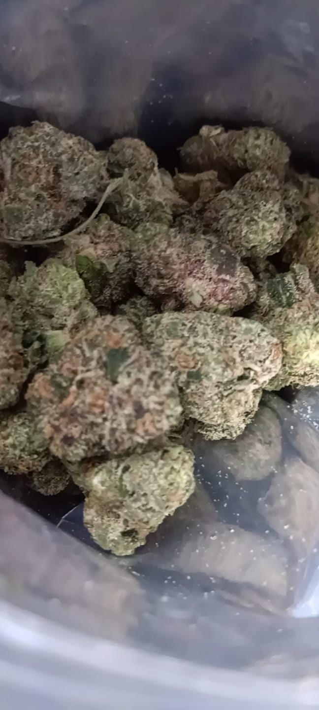 Customer photo review of Cereal Milk THCA Flower (Budget)