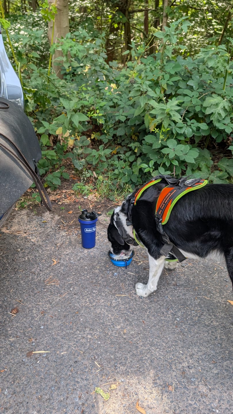Customer photo review of Better Hydration Metal Shaker