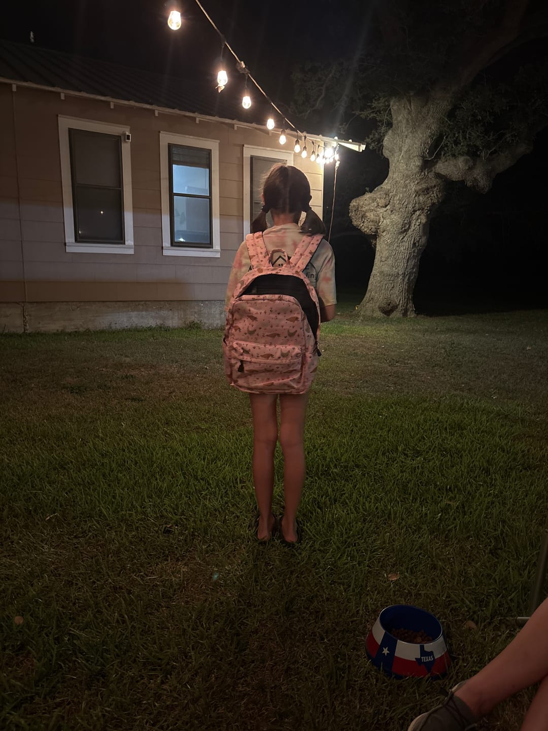 Customer photo review of Pink Cottage Chicken Backpack