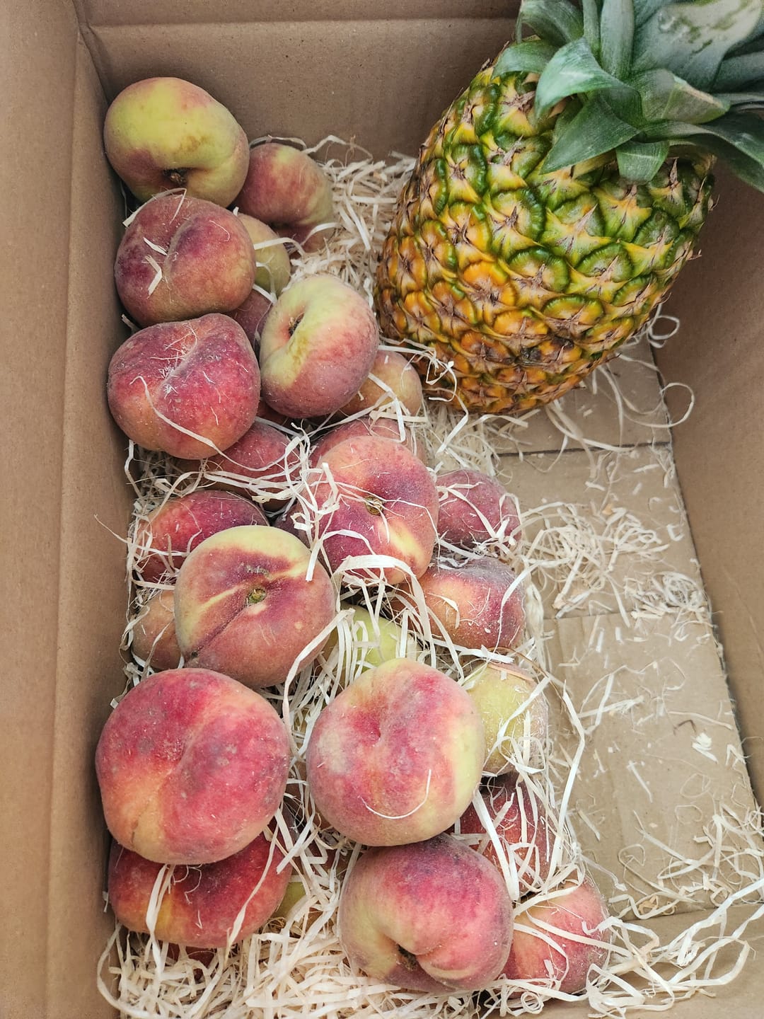 Customer photo review of Ananas reifgeerntet Retteraktion % (Stück ca 2kg)
