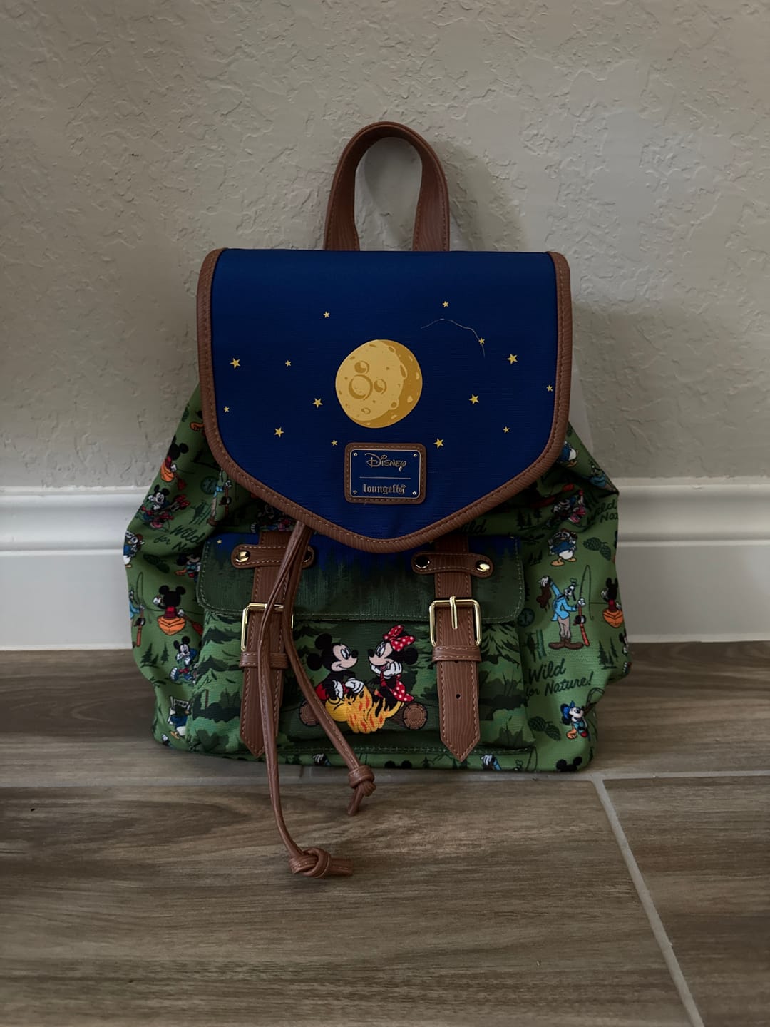 Customer photo review of *PRE-ORDER* Loungefly Mickey, Minnie, & Friends Camping Scene Mini Backpack (Exclusive)