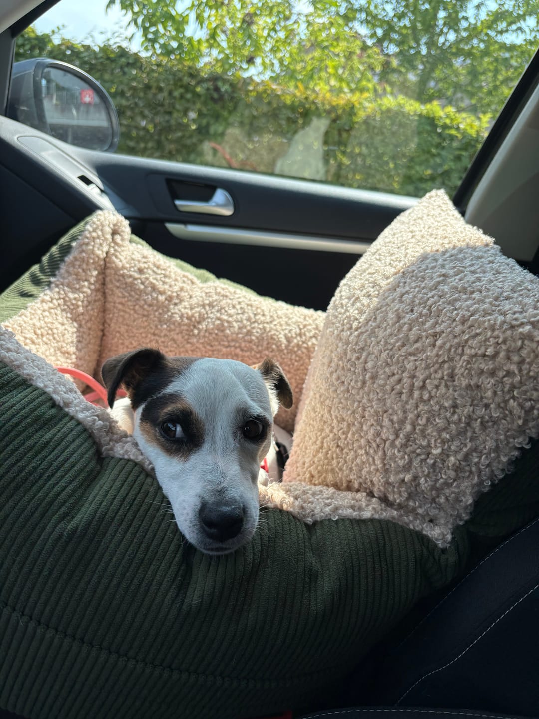 Customer photo review of Harry - Cord / Teddy - Luxury Car Seat