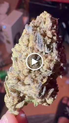 Customer video review of THC-A Flower California Love