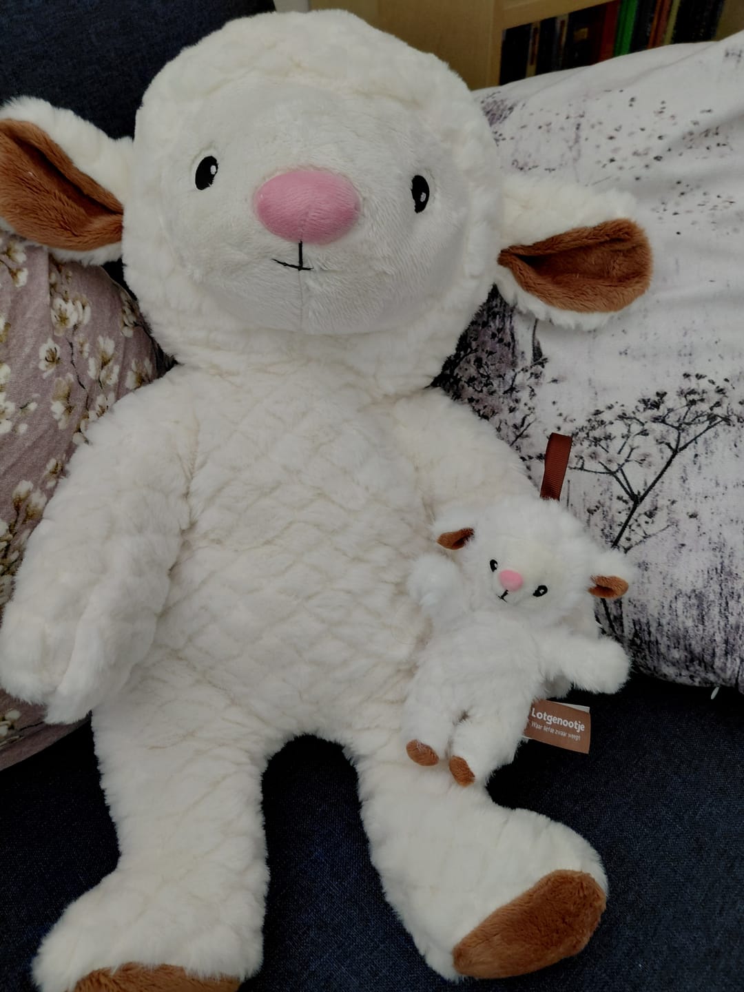 Customer photo review of Lotgenootje Schaap 2kg