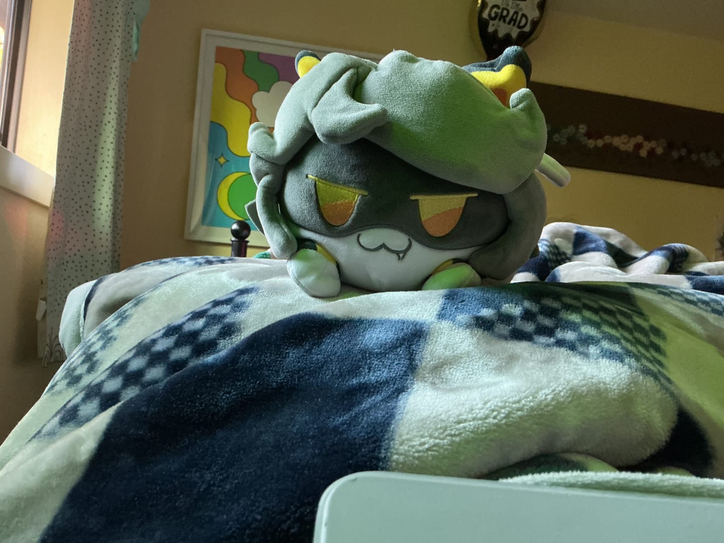 Customer photo review of V Cat Plush