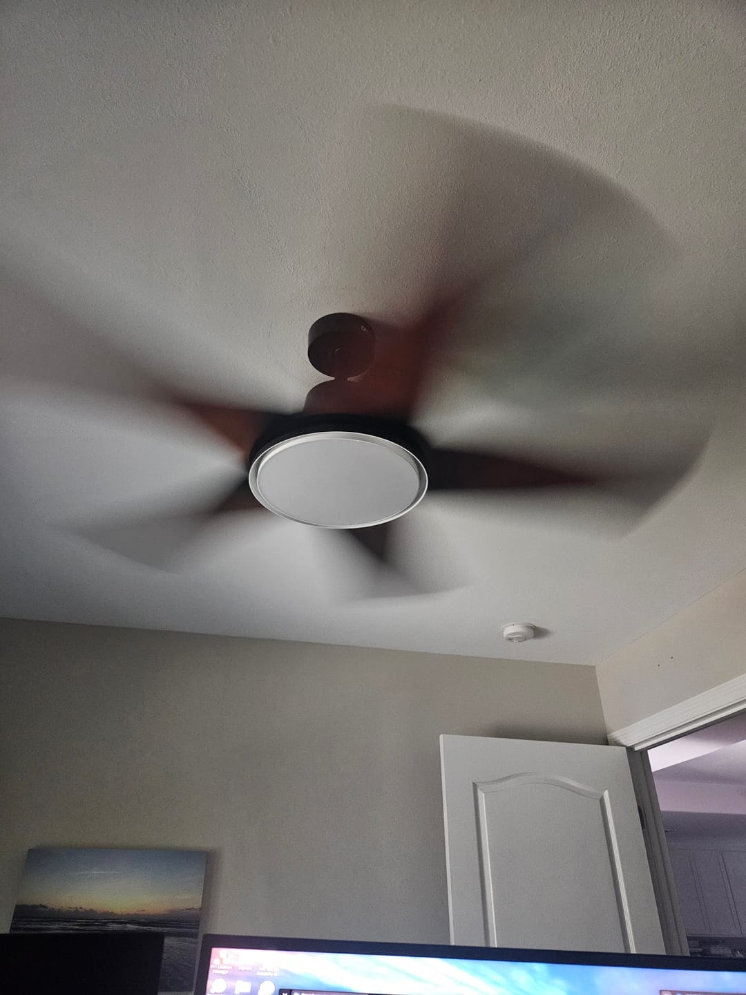 Customer photo review of Smart Ceiling Fan 334S