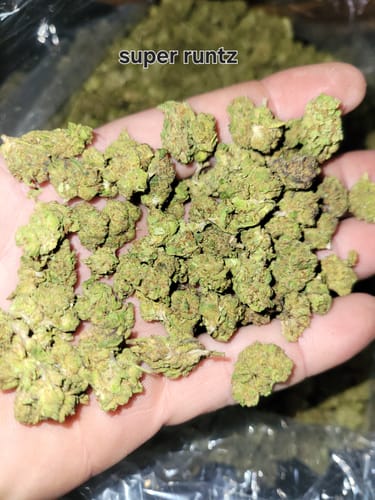 Super Runtz Mediums - Bulk Mediums - Hybrid photo review
