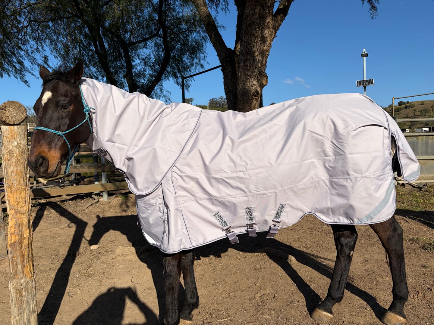 Customer photo review of LE Boxter Turnout 0g