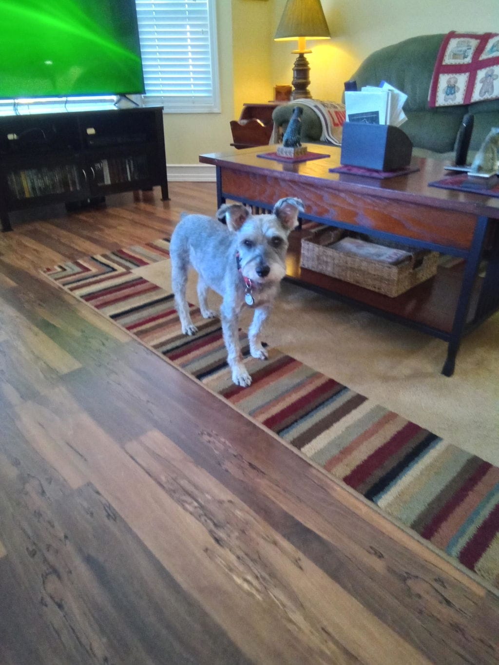 Customer photo review of PearlyPup™ Anti-Tartar Dental Spray for Dogs