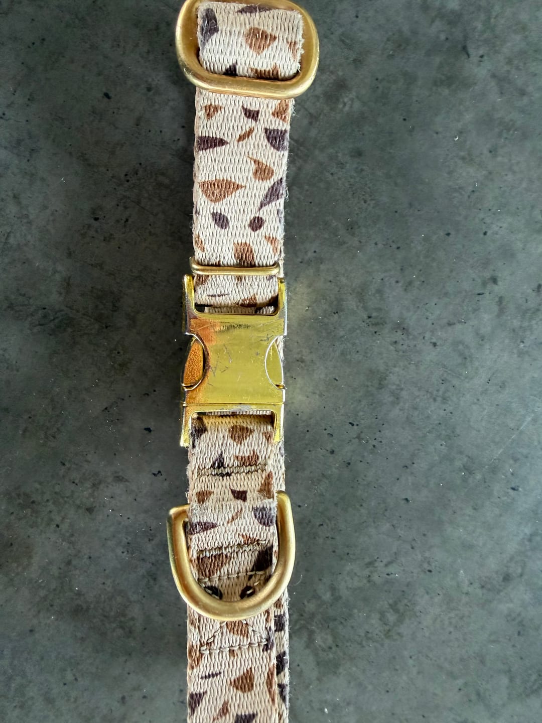 Customer photo review of Obroża "Beige Terrazzo" - złote okucia