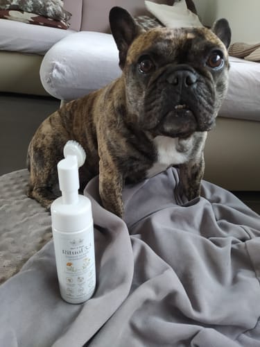 Customer photo review of Bert & Hugo Ritual 5.5 – Wissenschaft für Pfoten & Bäuchlein