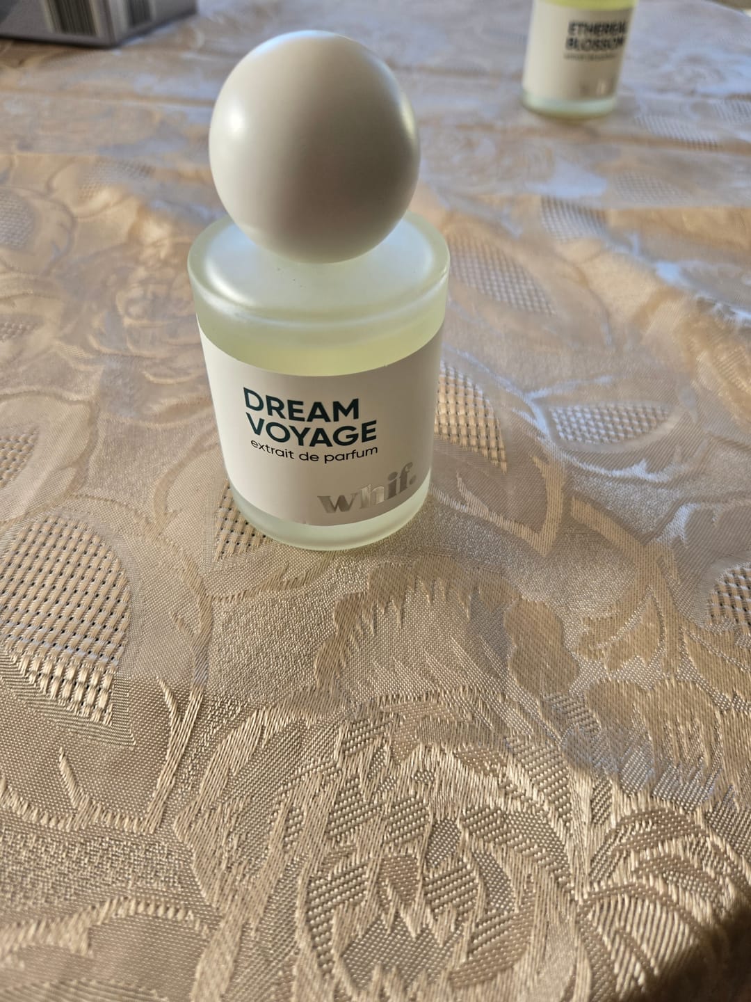 Customer photo review of Dream Voyage
