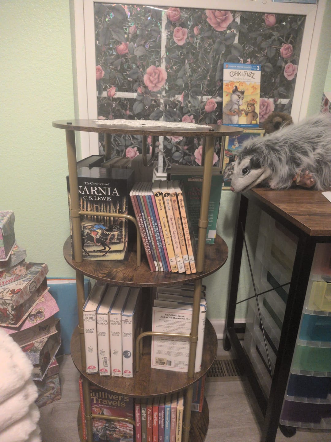 Customer photo review of Flycity 3-5 Tier Rotating Bookshelf With 360° Spinning Display