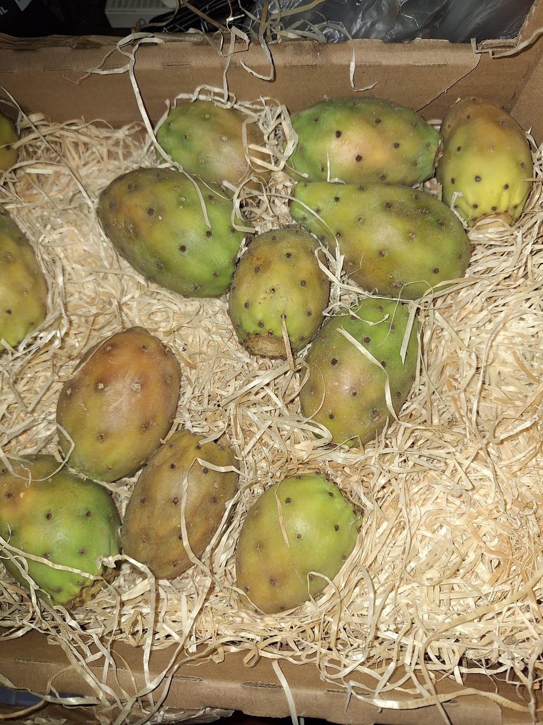 Customer photo review of Kaktusfeigen naturbelassen von Julian