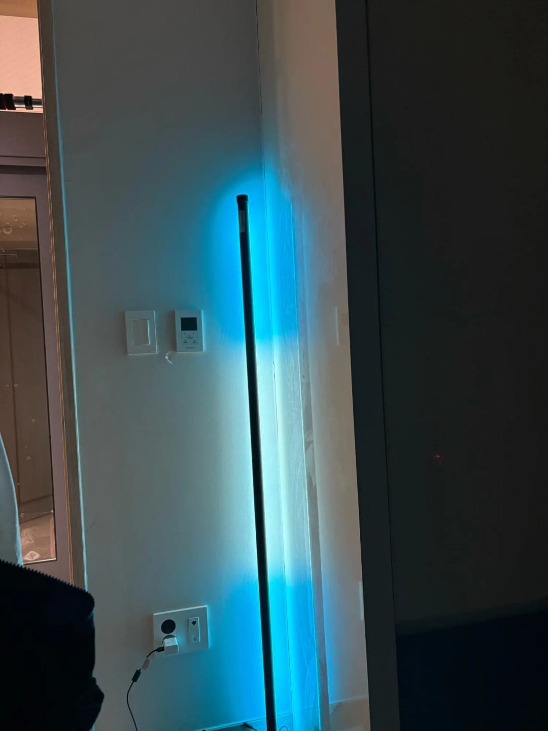 Customer photo review of Nordic Inspired Multicolor LED Floor Lamp With Remote Dimmer