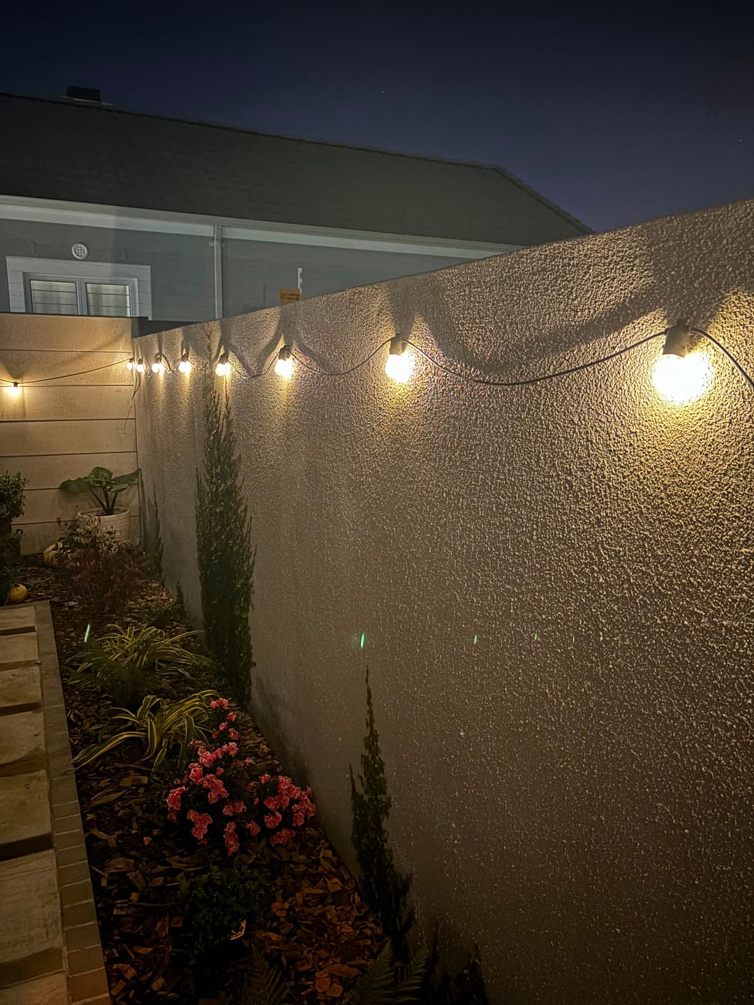Customer photo review of Solar Festoon Bulb String Lights