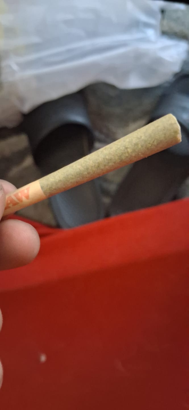 Customer photo review of Dank Forest 30ct. Pre-Rolls 1g
