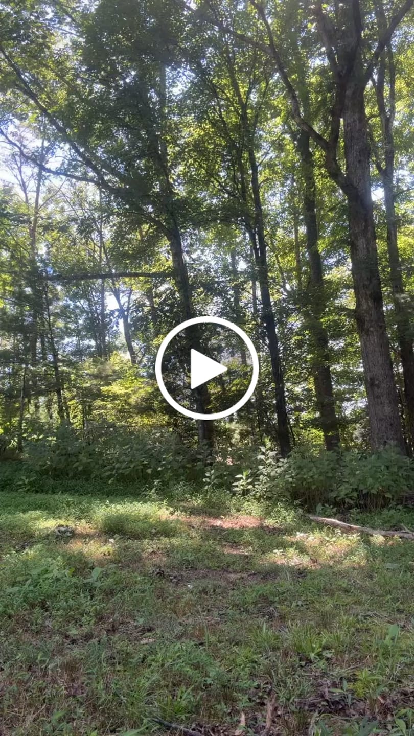 Customer video review of Hoffman Tactical Super Safety AR-15 100% USA Made