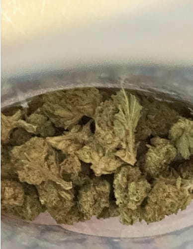 GMO - 28 Grams - Indica photo review