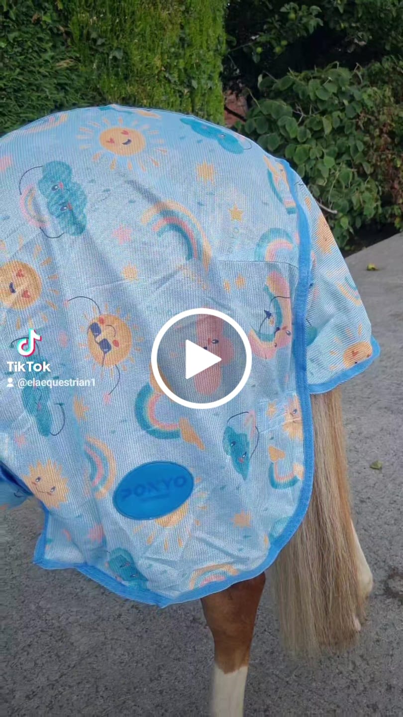 Customer video review of NEW Rain Or Shine Fly Rug